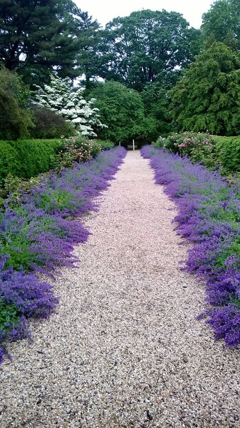 I love the look of purple lined pathways.  #eroseco Long Driveway, Garden Ideas To Make, Large Backyard Landscaping, Gravel Landscaping, Landscape Borders, Driveway Landscaping, Gravel Path, Gravel Garden, Garden Shrubs