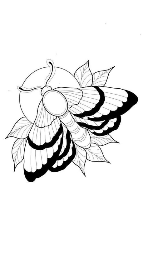 Bug Tattoo Outline, Line Work Moth Tattoo, Moth Outline Drawing, Tattoo Line Work Drawings, Bug Tattoo Stencil, Simple Moth Tattoo Outline, Printable Tattoo Designs Small, Traditional Tattoo Stencils Outline, Practice Tattoo Designs For Beginners