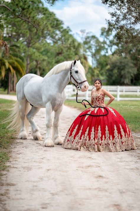 Burgundy Quinceanera, Quinceañera Photoshoot Ideas, Quince Photoshoot Ideas, Burgundy Quinceanera Dresses, Quince Pictures, Quinceanera Pictures, Xv Dresses, Sweet 15 Party Ideas Quinceanera, Mexican Quinceanera Dresses