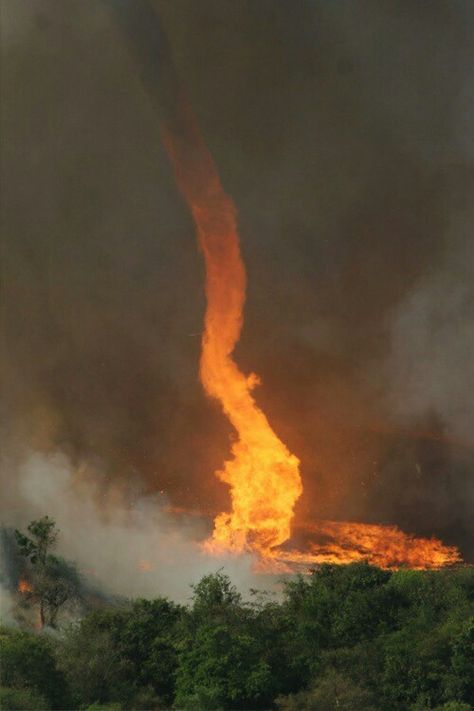 Fire and tornado is it possible? Fire Tornado, A Fire, Tornado, The Sky, Trees