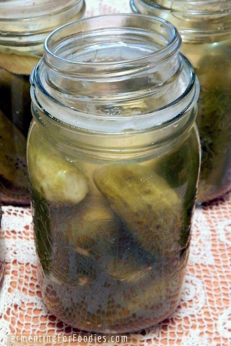 Fermenting Pickles, Probiotic Pickles, Fermented Pickles Recipe, Fermented Dill Pickles, Lacto Fermented Pickles, Small Jam Jars, Zucchini Relish, Lacto Fermented, Fennel Recipes