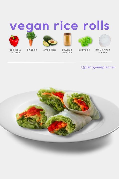 Vegan Rice Rolls Healthy Summer Meals, Vegan Rice Paper Rolls, Quick Rice, Digital Meal Planner, Eat More Plants, Meals Vegan, Rice Rolls, Plant Based Recipes Dinner, Vegan Kids Recipes