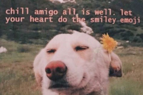 Happy Words, A Quote, Quote Aesthetic, Pretty Words, Reaction Pictures, Beautiful Words, Make Me Smile, Words Quotes, Wise Words