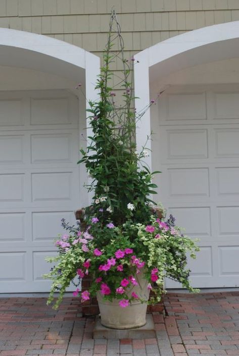 Tanaman Pot, Container Garden Design, Container Gardening Flowers, Gardening Flowers, Garden Containers, Flower Gardens, Container Garden, Container Flowers, Outdoor Planters