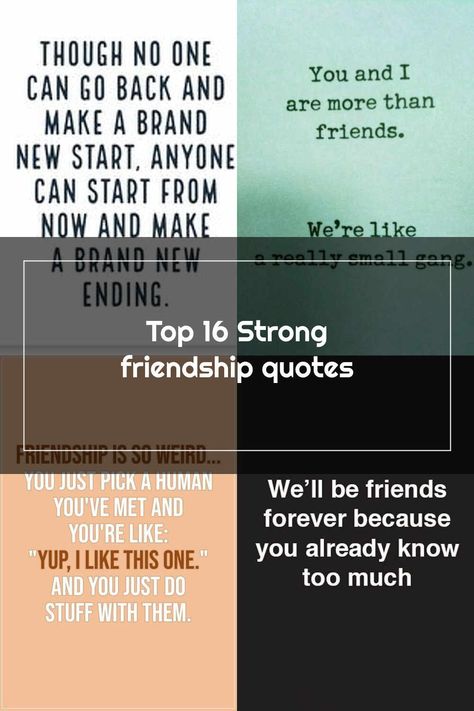 Friendship Quotes Top 16 Strong friendship quotes | AW Camping Friendship Quotes Strong Friendship Quotes, Strong Friendship, New Start, Friendship Quotes, Camping, Human, Quotes