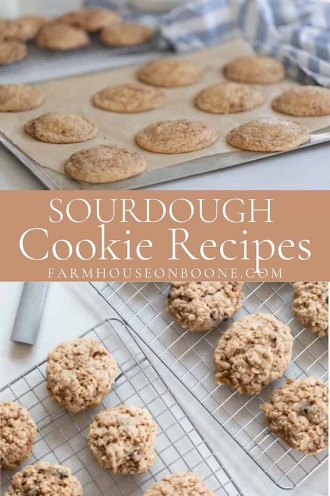 My favorite sourdough cookie recipes are the most delicious way to enjoy sourdough discard. From sourdough peanut butter cookies to oatmeal, and just about everything in between. #farmhouseonboone #sourdoughcookies #sourdoughcookierecipes Sourdough Butterscotch Cookies, Sourdough Starter Discard Cookies, Sourdough Discard Oatmeal Cookies, Sourdough Discard Recipes Sweet, Sourdough Oatmeal Cookies, Sourdough Discard Recipes Cookies, Sourdough Discard Cookie Recipes, Sourdough Cookies Recipe, Sourdough Discard Cookies