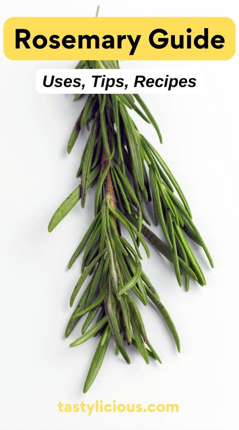 rosemary uses in cooking | dried rosemary uses | rosemary herb benefits | rosemary uses and benefits | What are the most common uses for rosemary | refreshing spring recipes | quick lunch recipes | dinner ideas | easy dinner recipe | healthy dinner recipe Dried Rosemary Uses, Rosemary Recipes Healthy, Rosemary Uses, Uses For Rosemary, Refreshing Spring Recipes, Herb Benefits, Recipe Healthy Dinner, Rosemary Recipes, Rosemary Herb