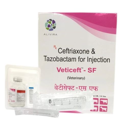 VETICEFT-SF Injection: Powerful Dual-Action Antibiotic for Resistant Bacterial Infections #VETICEFTSFInjection #DualActionAntibiotic #ResistantBacterialInfections #VeterinaryMedicine #LivestockHealth #CeftriaxoneTazobactam #MastitisTreatment #RespiratoryInfection #SepsisCare #VeterinaryAntibiotic #AnimalWelfare #BroadSpectrumAntibiotic #MeningitisTreatment #FarmManagement #PrePostOperativeCare #LivestockAntibiotics #VeterinaryInjection #CattleCare #SheepHealth #GoatCare - https://kamapet.com/... Goat Care, Black Quotes, Respiratory Infection, Infection Control, Bacterial Infection, Veterinary Medicine, Pet Shop, Buffalo, Cow