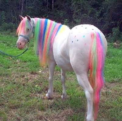 My Little Pony Horse Halloween Costumes, Horse Mane, Real Unicorn, Horse Costumes, Pony Party, Lisa Frank, Pretty Horses, Horse Love, Rainbow Unicorn