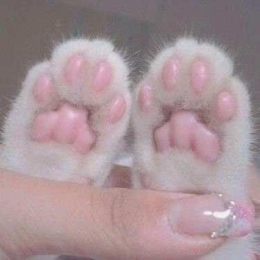 Images Kawaii, Baby Pink Aesthetic, Cat Icon, Pastel Pink Aesthetic, Kawaii Aesthetic, Cat Aesthetic, Pink Cat, Cat Paws, Cute Little Animals