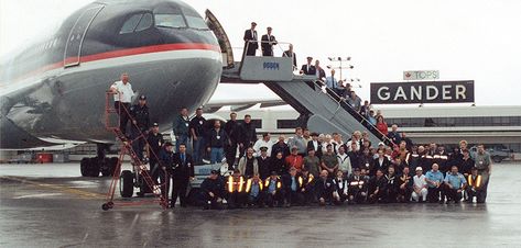 Gander Newfoundland, Labrador Canada, Delta Flight, Newfoundland Canada, Food Medicine, Atlantic Canada, O Canada, Canadian History, Newfoundland And Labrador