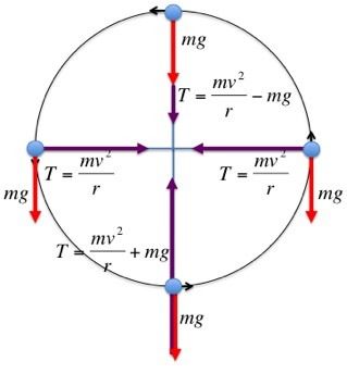 Forces in vertical circular motion Circular Motion Physics, Motion Physics, Physics Notes, Circular Motion, Describe Me, Science And Technology, Line Chart, Chemistry, Physics