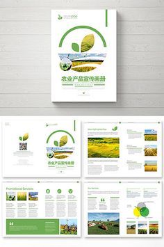 Fresh atmospheric agricultural product brochure#pikbest#templates Agriculture Brochure, Brochure Background, Agriculture Design, Brochures Design, Brochure Format, Concept Web, Product Brochure, Corporate Brochure Design, Power Points