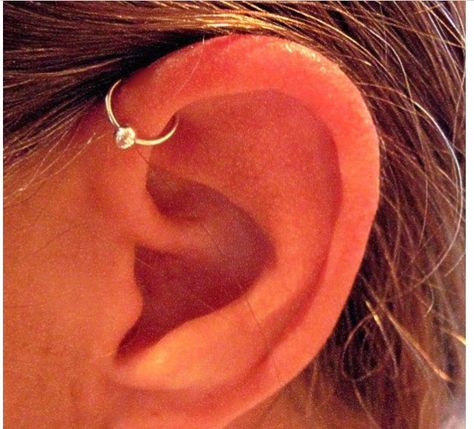 Forward Helix Front Helix Piercing, Ear Piercing Helix, Different Ear Piercings, Cartilage Ear Cuff, Types Of Ear Piercings, Helix Piercings, Helix Ear, Piercing Cartilage, Forward Helix