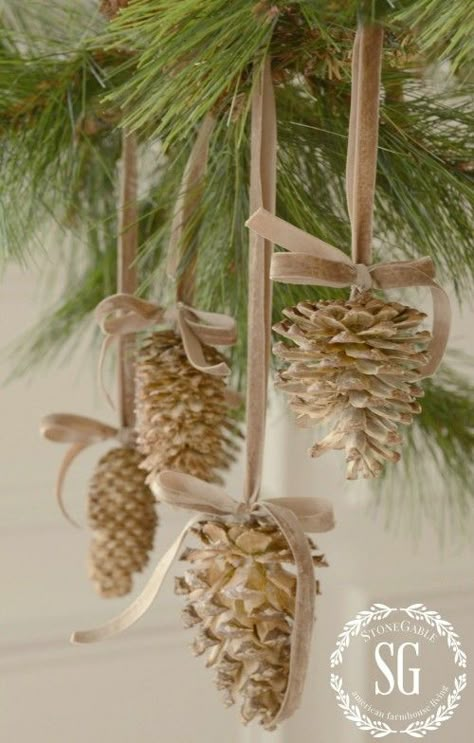 Bleached Pinecones, Pine Cone Ornaments, Cone Ornaments, Cone Crafts, Homemade Christmas Decorations, Pine Cone Crafts, Natural Christmas, Noel Christmas, Pine Cone