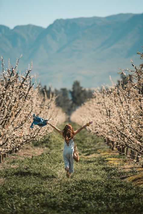 Farmer Photography, Green Grass Field, Field Of Dreams, Grass Field, Therapy Tools, Photos Hd, White Long Sleeve Shirt, Girl Running, Adobe Photoshop Lightroom