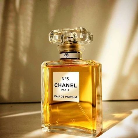 chanel #perfume #fragrance #vintage #aesthetic #inspiration Luxury Perfume Aesthetic, Organization Perfume, Perfume Branding, Luxury Perfume Women, Aesthetic Perfume, Chanel Perfume Bottle, Collection Aesthetic, Perfume Genius, Versace Perfume