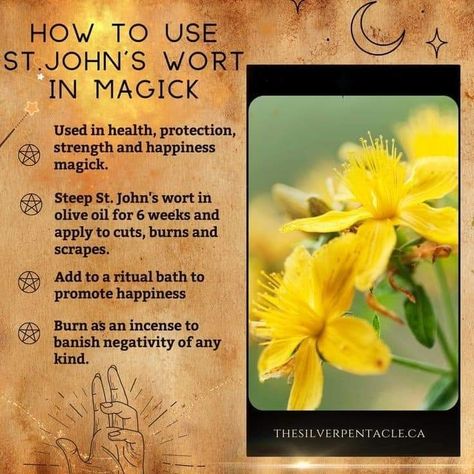 Magical Herbs Witchcraft, Witchy Herbs, Herb Magick, Herbs Witchcraft, Hedge Witchcraft, Magick Herbs, Medicinal Herbs Remedies, Herbs For Protection, Teas Recipes