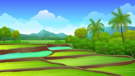 Vector beautiful rice field view with tr... | Premium Vector #Freepik #vector #rice-field #village-landscape #rice-paddy #paddy-field Rice Field Background, Village Vector, Happy Birthday Logo, Farm Cartoon, Paddy Field, Village Landscape, Birthday Logo, 1st Birthday Girl Decorations, Rice Paddy