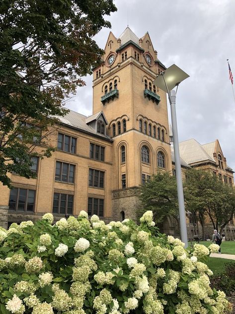 #PhotoOfTheDay 📸: Nadia Rahman Share your pics and videos via go.wayne.edu/photos. #WayneStateUniversity #DaylightSavings #SpringForward Midwest Art, Wayne State University, Wayne State, Spring Forward, Photo Of The Day, College Life, State University, Mood Board, Vision Board