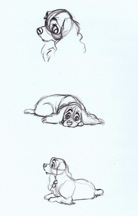 scurviesdisneyblog:  Lady Concept Sketches Sketches Disney Characters, Drawing Sketches Disney, Sketches Disney, Concept Art Disney, Draw Dogs, Drawing Hands, Wallpaper Disney, Animation Sketches, 강아지 그림