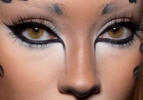 Face To Do Makeup On Drawing, Panther Halloween Costume Makeup, Cat Inspired Makeup Looks, Cat Eye Makeup For Halloween, Cute Lion Makeup, Basic Cat Makeup, Goth Cat Makeup, Subtle Cat Makeup, Cat Woman Makeup Look