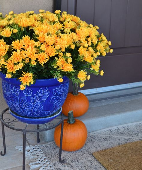 DIY Easy & Realistic Faux Fall Mums for Your Porch - Mom. Eat. Repeat. Outdoor Fall Floral Arrangements, Autumn Front Porch Decor Cozy, Hobby Lobby Fall Floral Arrangements, Fake Fall Flowers Outdoors, Fake Mums Front Porch, Artificial Fall Flowers Outdoors, Fake Fall Flower Arrangements Outdoor, Fall Faux Planters Front Porches, Artificial Mums Front Porch