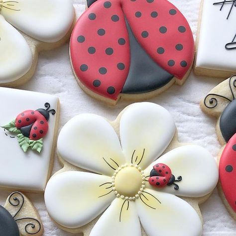 HopeCakes on Instagram: "Who else is so over winter and ready for spring?! 💛🐞 Loving these cute little lady bug cookies! . . . #hopecakes #cookies #ladybug #ladybugcookies #daisycookies #customcookies #birthdaycookies #sugarcookies #customsugarcookies #sugarcookiesofinstagram #royalicingcookies #royalicing #coquitlam #coquitlambaker #talentedcookiers Inspo from @jk_cookieco 💕" Ladybug Cookies Royal Icing, Love Bug Cookies Decorated, Love Bug Cookies, Ladybug Sugar Cookies, Bird Baby Shower Theme, Bug Cookies, Ladybug Cookies, Royal Icing Decorated Cookies, Flower Sugar Cookies