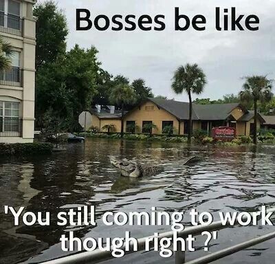 20 Hurricane Memes for Floridians - Rain Humor, Florida Humor, Weather Humor, Florida Funny, Pharmacy Humor, Be Like Meme, Work Funny, Funny Sites, Florida Life