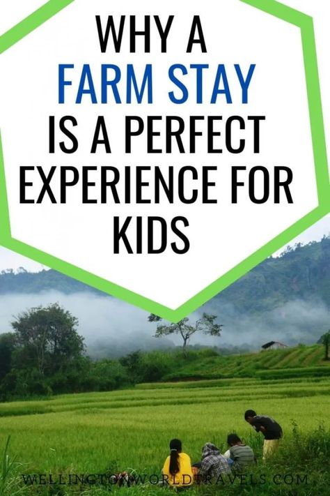 9 Reasons a Farm Stay Is A Perfect Experience for Kids – Wellington World Travels Farm Stay Design, Farm Tourism, Farm Vacation, Farm School, Pack Up And Go, Farm Visit, Farm Layout, Farm Business, Farm Projects