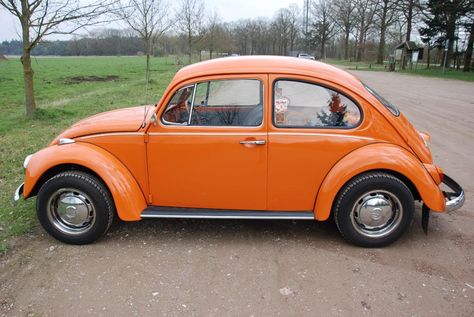 1973 orange beetle ~ Best friend drove one of these! Orange Vw Beetle, Orange Volkswagen Beetle, Orange Vw Beetle Convertible, Volkswagen Beetle 1970s, Orange Punch, 1973 Volkswagen Beetle, 1979 Vw Beetle Convertible, Volkswagen New Beetle, Orange Car