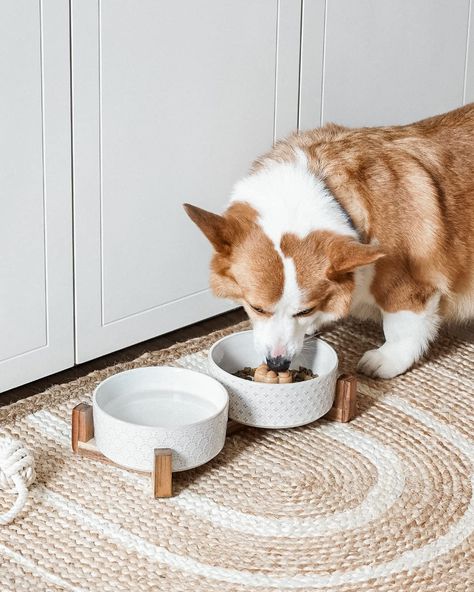 Dog Bowl Area, Dog Dishes, Bowls Ceramic, Ceramic Dog Bowl, Dog Food Bowls, Ceramic Dog, Food Mat, Stoneware Ceramics, Medium Sized Dogs