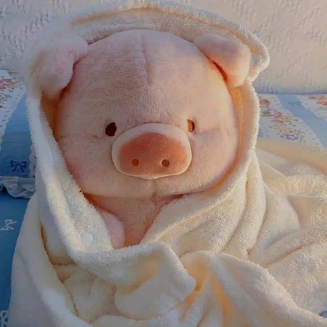 Lulu The Piggy, Cartoon Bread, Pig Plushie, Cute Piggies, Soft Stuffed Animals, Kawaii Plushies, Cute Pigs, Cute Stuffed Animals, Gift For Girls