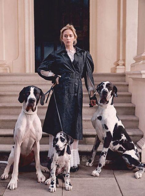 Celebrity Dogs, Dog Magazine, Dog Photoshoot, Alfred Stieglitz, Three Dogs, Harper’s Bazaar, Mary Poppins, Crazy Dog, Harper's Bazaar