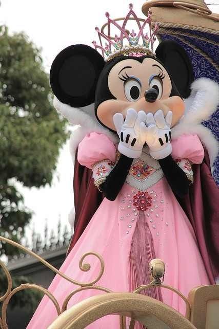 Princess Minnie Mouse Tema Disney, Disney Photos, Tokyo Disneyland, Disney Aesthetic, Disney Life, Mickey Mouse And Friends, Disney Dream, Disney Fun, Disneyland Paris