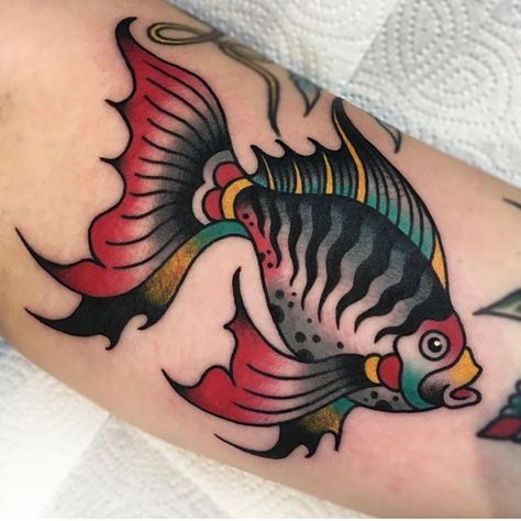 Tropical Fish by @cionka_tattoo #boldwillholdfirenze #tattooshop #florence #fishtattoo #traditionaltattoo #tradworkers #sunskintattoomachines Vivid Tattoos, Tattoos Sea, Fishing Lure Tattoo, Fisherman Tattoo, Anchor Silhouette, Neo Traditional Tattoos, Goldfish Tattoo, Tropical Tattoo, Mermaid Tattoo Designs