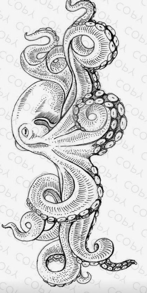 Octopus Pen Drawing, Octopus Tattoos For Women, Cute Kraken, Kraken Illustration, Octopus Art Drawing, Octopus Tentacles Art, Octopus Sketch, Animal Stencil Art, Octopus Drawing