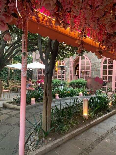 Hello Kitty Cafe Aesthetic, Kitty Pictures, Kitty Cafe, Cafe Ideas, Cat Cafe, Hello Kitty Pictures, Future Life, Mexico City, Hello Kitty