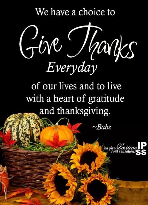 Give Thanks EVERYDAY!! • #WeHaveaChoice Thankgiving Quotes, Thanksgiving Quotes Family, Everyday Pictures, Happy Thanksgiving Pictures, November Quotes, Thanksgiving Messages, Thanksgiving Blessings, Thanksgiving Pictures, Thankful Quotes