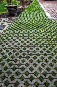 TurfStone Pavers aka grass pavers such a lovely look Turfstone Pavers, Steep Driveway, Pergola Backyard, Pavers Patio, Grass Pavers, Diy Backyard Fence, Planting Grass, Underground Drainage, Permeable Pavers