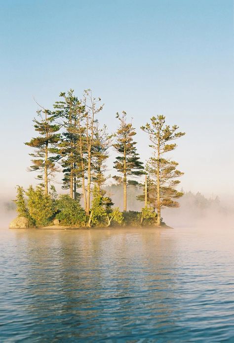 Best Canoe Camping Middle Saranac Lake, New York | Field Mag Adirondacks Ny, Saranac Lake Ny, Canoe Camping, Saranac Lake, Beautiful Film, New York State, Open Up, Film Photography, Last Night