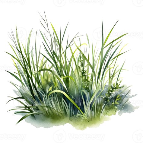 Grass Drawing, Grass Illustration, Tree Watercolor Painting, Grass Painting, Painting Flowers Tutorial, Landscape Architecture Drawing, Learn Watercolor Painting, Watercolor Green, Learn Watercolor