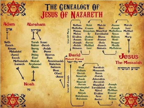 Why Are Jesus' Genealogies in Matthew and Luke Different? Was St. Joseph Adopted, too? Spiritual Insights into Adoption Bible Genealogy, Genealogy Of Jesus, Bible Timeline, Jesus Of Nazareth, Bible Study Topics, Bible Study Help, Bible History, Bible Study Notebook, Ayat Alkitab