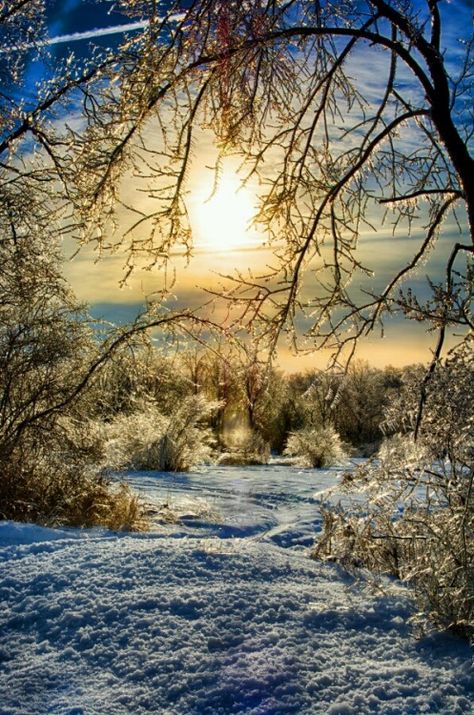 The Fatal Gift of Beauty Country Morning, Winter Sunrise, Falling Snow, Scenery Pictures, Winter Sunset, Morning Sunrise, Winter Painting, Winter Scenery, Winter Beauty