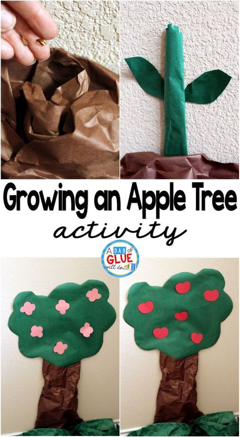 One of my favorite activities to do with my class is growing an apple tree in the classroom. It is the perfect interactive visual that will be help students see exactly how a tree is formed. Butcher Paper Tree, Tree In The Classroom, Apple Tree Activity, Paper Tree Classroom, Growing Apple Trees, Tree Classroom, Tree Activity, Apple Life Cycle, Apple Unit