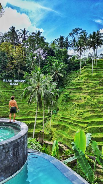 Cretya Ubud, Ubud Indonesia, Bali Ubud, Pool View, Paradise Travel, Rice Terraces, Photography Landscape, Amazing Pictures, Ubud