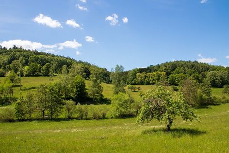 Landscape Panorama Sky, #Landscape, #Sky, #Panorama Landscape Panorama, Panorama Photography, Public Domain Images, Free Pictures, Free Images, Free Photos, Stock Images Free, Landscape Photography, Forest