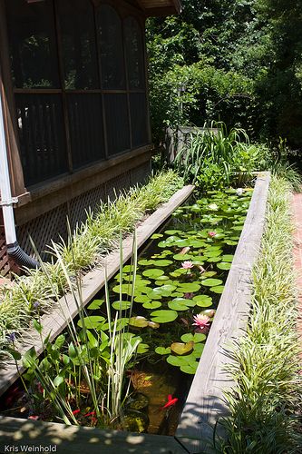 Tanaman Air, Small Water Gardens, Container Water Gardens, Kolam Koi, Taman Air, Garden Pond Design, Garden Water Feature, Small Pond, Pond Ideas