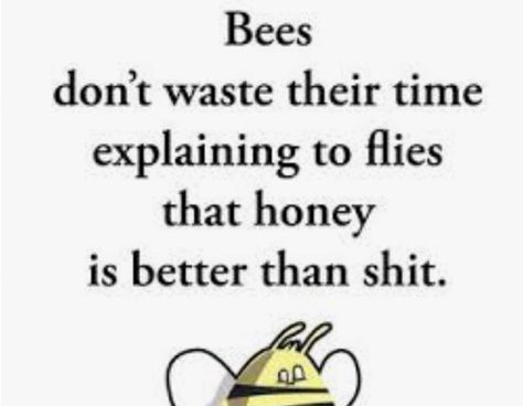 Honey Quotes, Bee Quotes, Humble Bee, Waste Time, Bee Art, Time Quotes, Bees Knees, Bumble Bee, Funny Images