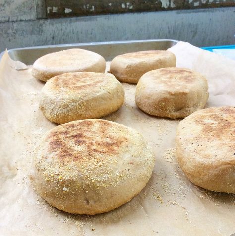 Whole Wheat Baking, Whole Wheat Recipes Healthy, Recipes With Whole Wheat Flour, Whole Wheat English Muffin Recipe, Whole Wheat Flour Recipes, Whole Wheat Recipes, Vegan English Muffins, Whole Wheat English Muffins, Yum Snacks